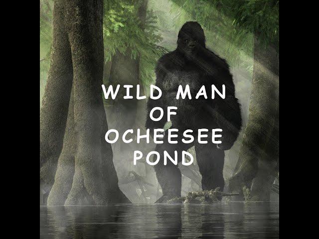 Ocheesee Pond Wild Man: A 19th Century Bigfoot capture in Florida?