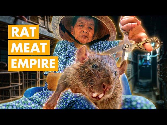 Surviving on Rats and Massive Crocs: The Riches of Asias Rodent and Reptile Traders