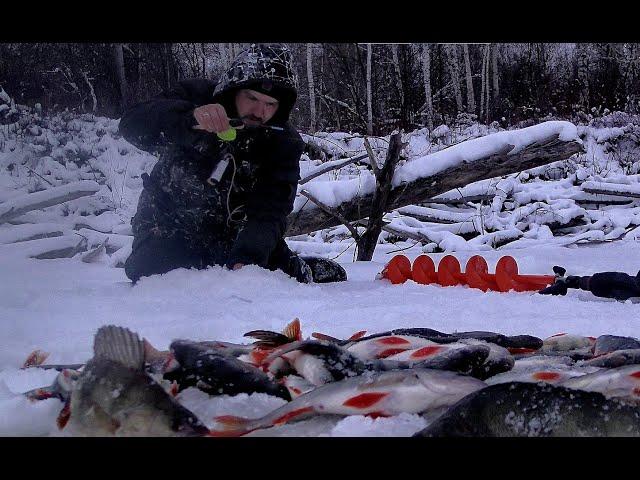 НЕ ЗРЯ Я ЭТИ КОРЯГИ РАЗБУРИЛ!! ХАПОК С ВОЛШЕБНОЙ ЛУНКИ!!Рыбалка на Оби 2024