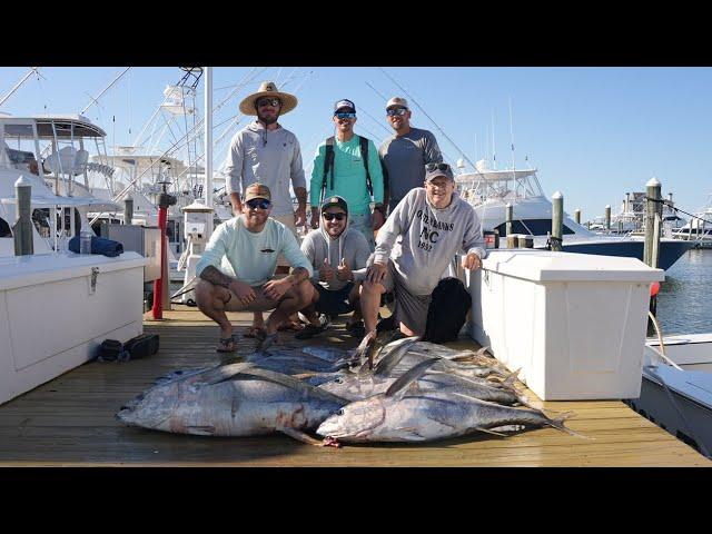 Slaying YELLOWFIN TUNA with FISH TRICKS!!!