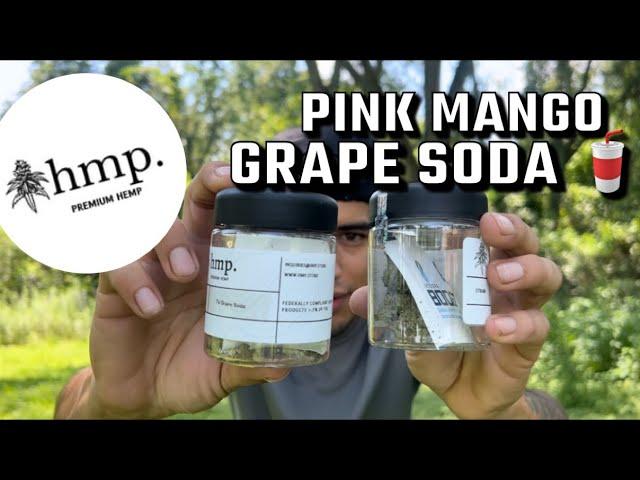 HMP.STORE PINK MANGO + GRAPE SODA - BEST THCA FLOWER? MINI RIVIEW!