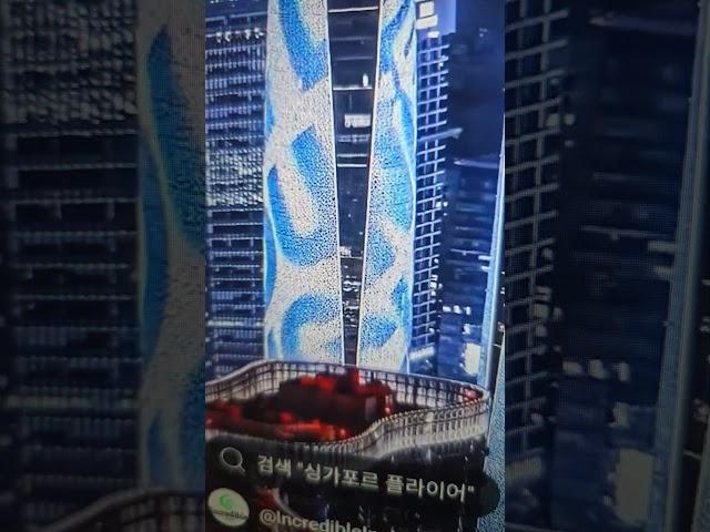 강원도#정선군#사북읍#강원랜드#시골마을#지구#자연#여행#동물#싱가폴