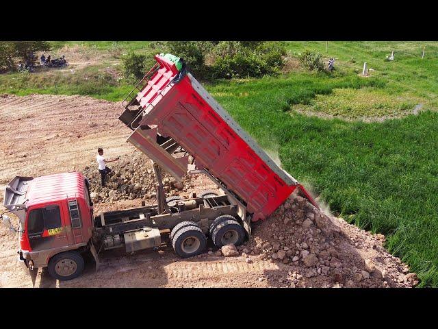 Best teamwork of big dump trucks pouring dirt & Komatsu D31P bulldozer complete filling the land