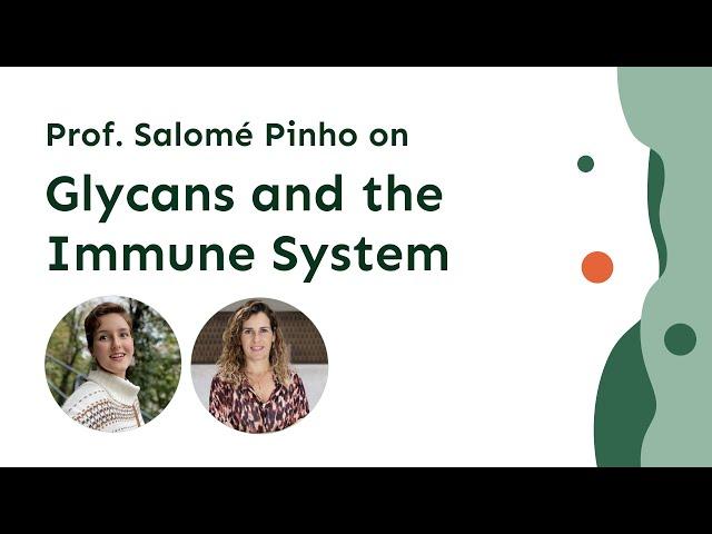 Glycans and the Immune System: Understanding Immune Regulation with Prof. Salomé Pinho