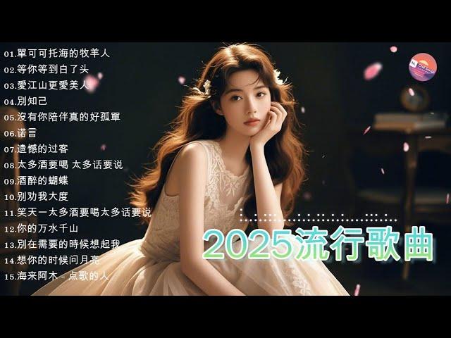 2025 流行歌曲【無廣告】2025中国大陸流行歌曲️Top Chinese Songs 2025 等你等到白了头 / 可可托海的牧羊人 / 酒醉的蝴蝶 / 你的万水千山 / 遗憾的过客