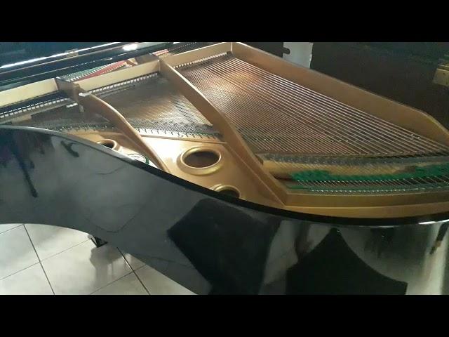 Diapason Japan Pianoforte mezza coda 178cm