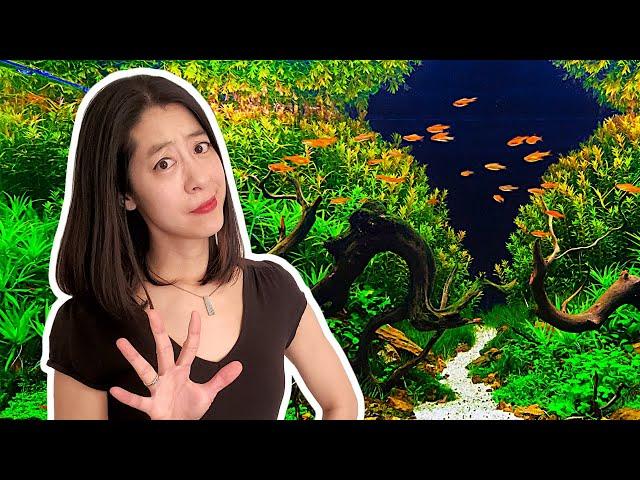 5 Things I Wish I Knew About Aquascaping