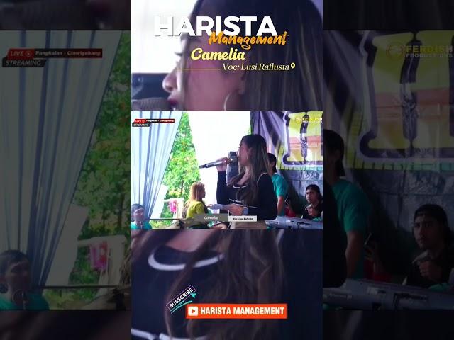 Camelia Voc Lusi Raflista - Harista Management  #uyungferdishofficial