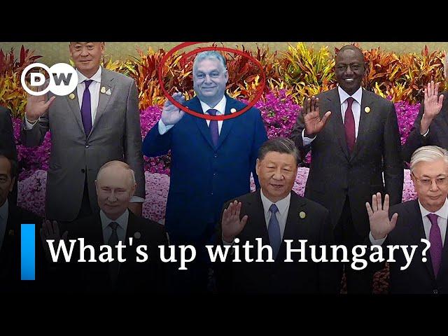 Hungary's Orban and his political alliances | DW News