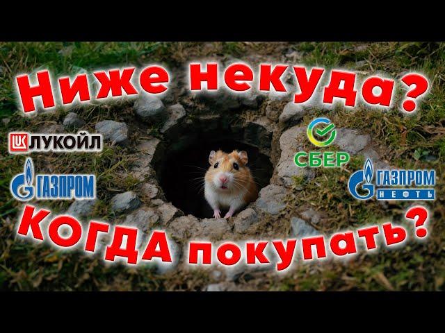 Новое ДНО в подарок? ПОКУПАТЬ нельзя ЖДАТЬ