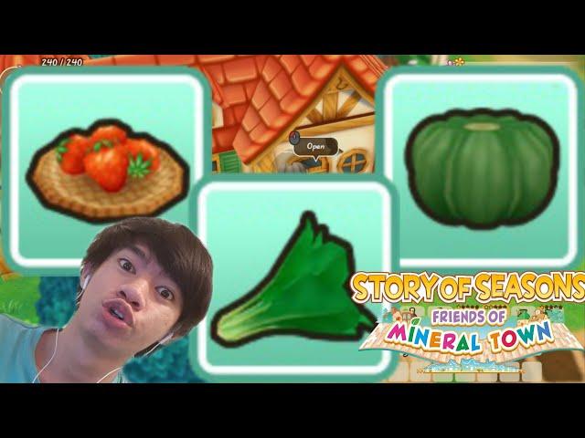 Cara Mendapat Strawberry, Pumpkin, Spinach Seeds | Story of Seasons : Friends of Mineral Town Tips