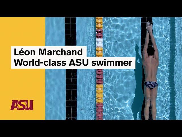 Léon Marchand: World-class ASU swimmer: Arizona State University (ASU)