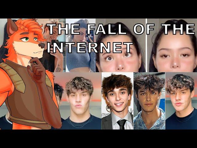 How The Internet is Getting Worse for Average Looking People