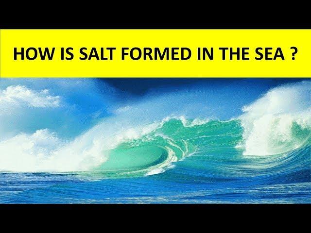 HOW IS SALT FORMED IN THE SEA ? || WHY IS SEA WATER SALTY ? || SCIENCE VIDEO FOR KIDS