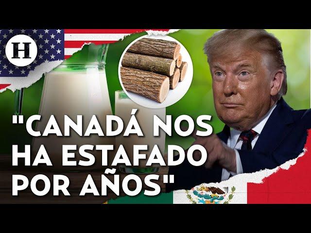 ¡Trump podría imponer más aranceles a Canadá! Esta vez a la madera y productos lácteos