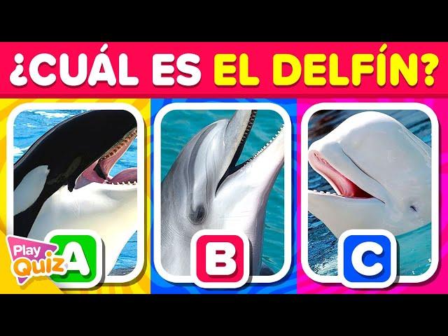 Adivina el Animal Correcto por La Foto  | Play Quiz de Animales