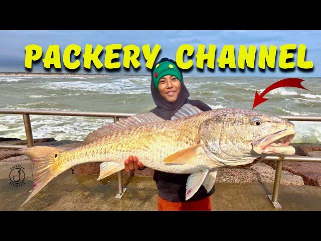 Jetty Fishing Corpus Christi - Giant Bull Redfish Schools