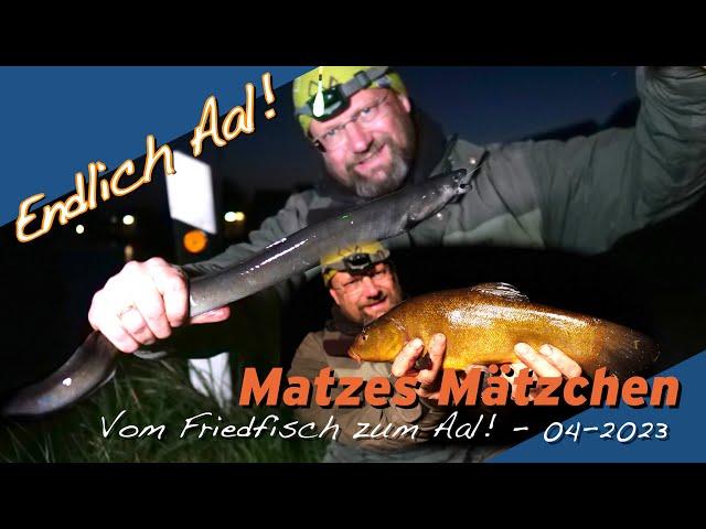 Matze Koch: Angeln auf Friedfisch und Aal! - Matzes Mätzchen 04-2023