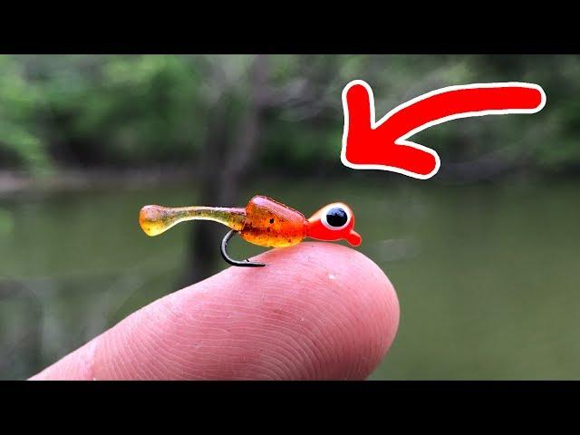 MICROSCOPIC Lure Challenge!!! (Surprising Results)
