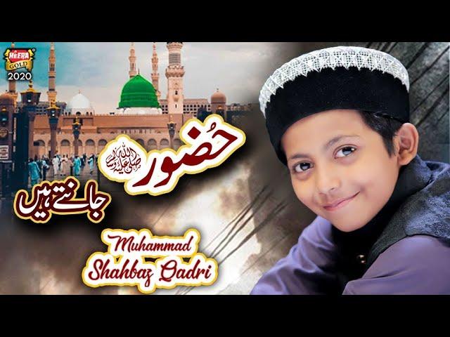 Muhammad Shahbaz Qadri || Huzoor Jante Hain || New Heart Touching Naat 2021 || Heera Gold