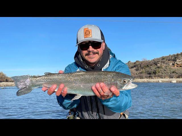 American Falls Snake River, Idaho: Roam and Reel