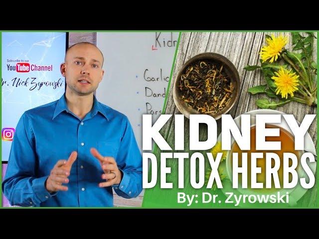 How To Cleanse Your Kidneys At Home: Kidney Detoxify Herbs | Dr. Nick Z.