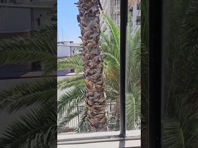 You Won't Guess Where This is in Las Vegas...But you're welcome to try!