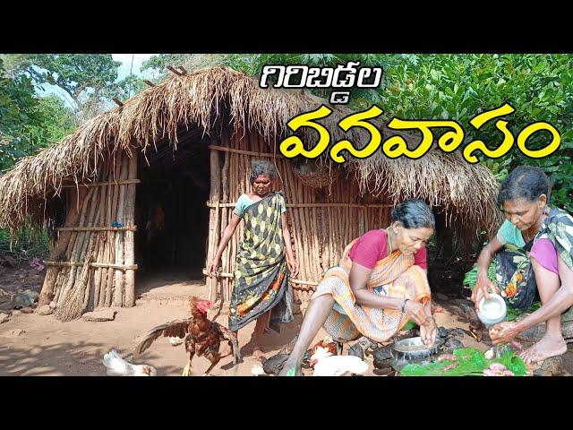 అరణ్యవాసం అందాలు |Tribal's forest life @MyluRams