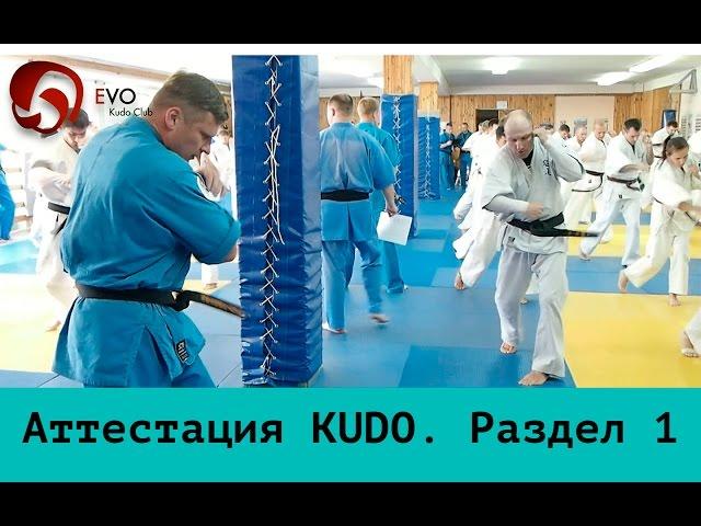 KUDO. DanTest. Раздел 1 - Техника ударов на месте