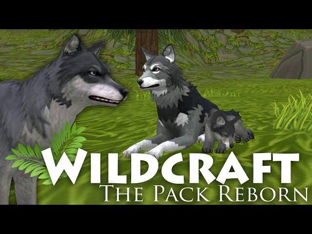 Rebirth of a Wolf Named Lynx  WildCraft: The Pack Reborn • #1