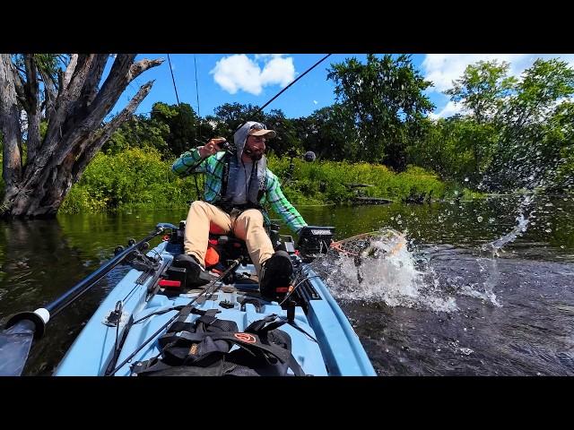 Sleeper River in Central Minnesota Holds Giants