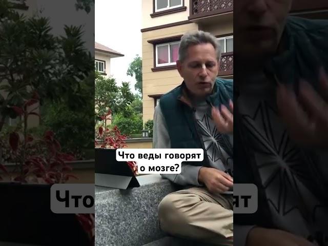 Что Веды говорят о мозге? #ВасилийТушкин #ВраджендраКумар #VrajendraRu #shorts #веды #знание #Бог