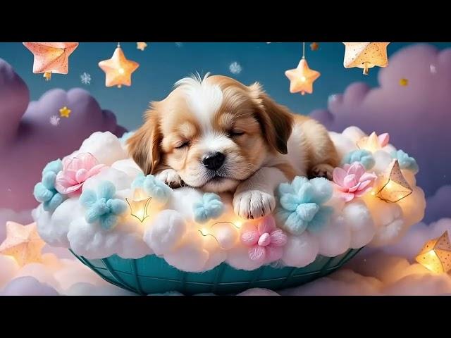 Deep Sleep Piano Music with Relaxing Nature Ambience | Soothing Sounds for Night Rest