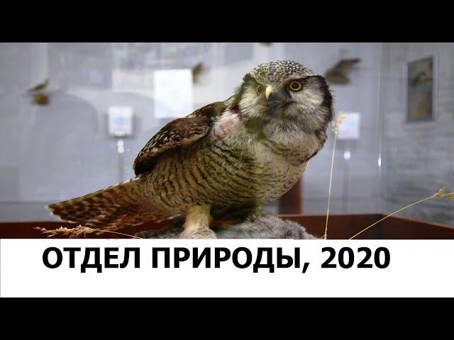 The Museum of Nature, Kostroma, 2020