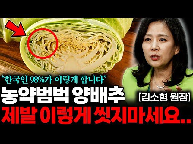 "베이킹소다, 식초 아닙니다" 양배추 '이렇게' 씻어야 농약이 싹! 사라집니다 (김소형 원장 1부)