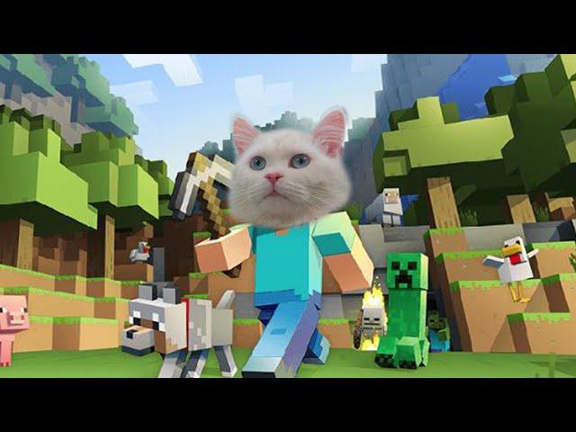 MINECRAFT CAT VERSION (ENG SUB) | CatOutdoor