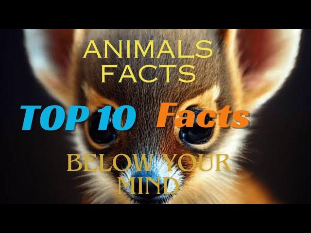 Top 10 Animals facts | Below your mind| Random Facts Hub