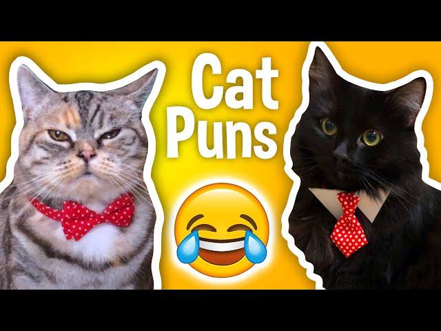 Terrible Cat Puns