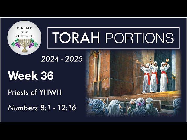 Torah Portion Week 36 - Numbers 8 - 12 ( Priests of YHWH )  2024 - 2025