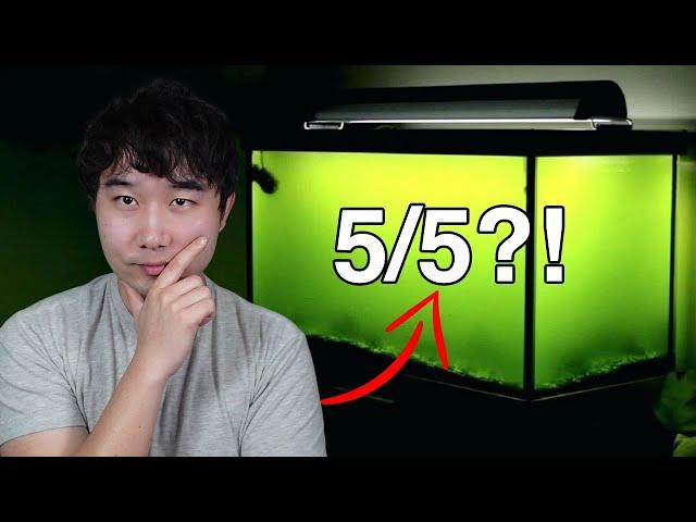 why this fish tank is ACTUALLY 5/5 | Fish Tank Review 219