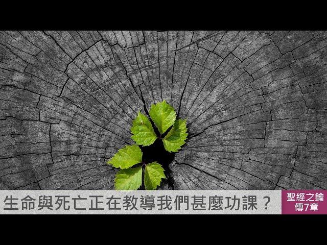 傳道書-第7章-智慧之道【聖經之鑰】The Book of Ecclesiastes