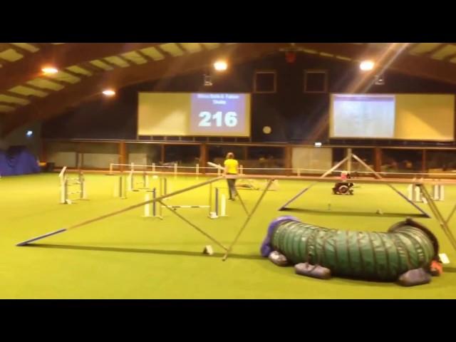 Agility-Meeting vom 28.01.2017  "Bella & Shuba"