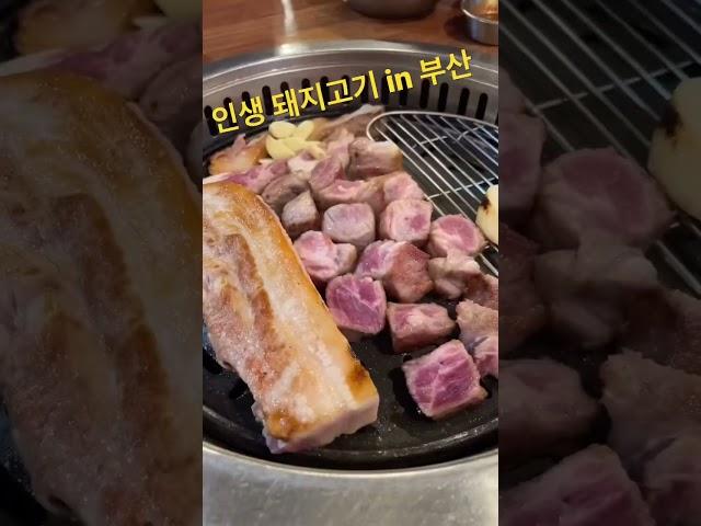 진짜 진짜 진짜 추천하는 부산 찐 돼지고기 맛집, 여기 안가면 후회합니다, 인생 목살 #구덕포끝집고기