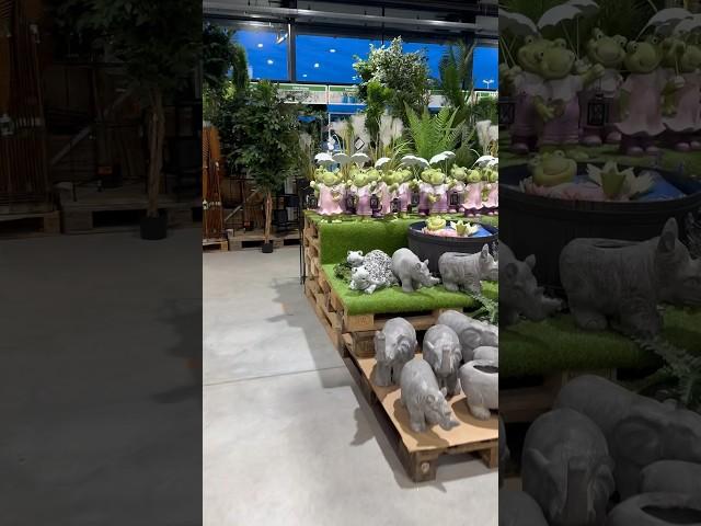 Plants in the Europe #plants #decoration #homedecor #gardening #frog #supermarket #beautiful