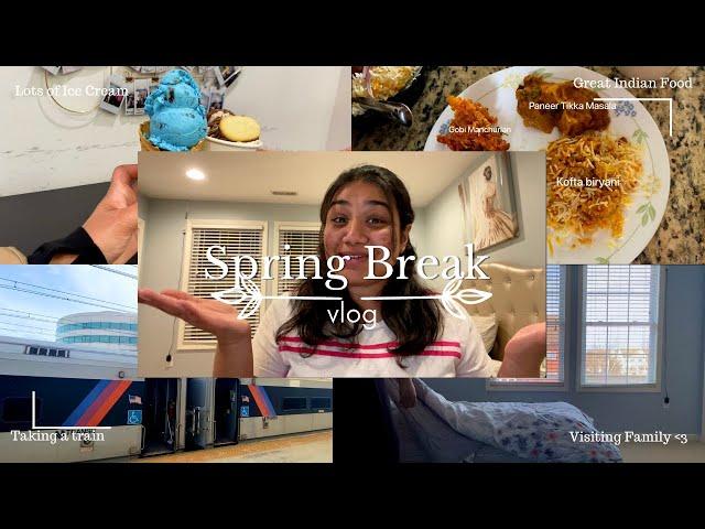 How does an Indian student spend their breaks in USA? | Spring break vlog | Indian food in USA