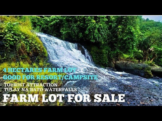 #vlog185 Farm lot for sale in Philippines - 4 Hectares Farm Lot - 2.5M pesos Only