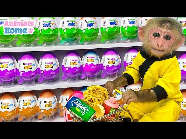 Baby monkey BiBi doing shopping in Candy store and eat it with her friends