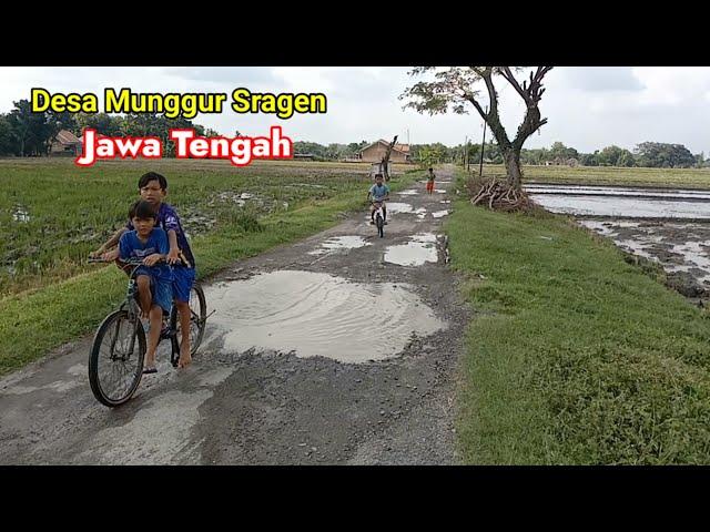 jalan viral bertahun rusak parah Desa Munggur Sragen Jawa Tengah