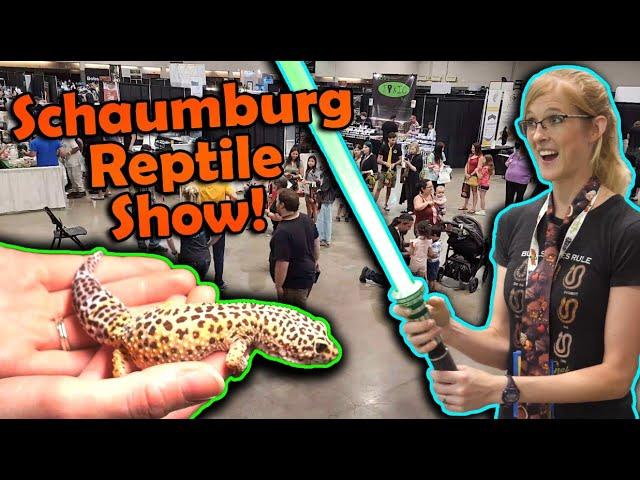 Attending a Huge Reptile Show in Illinois!