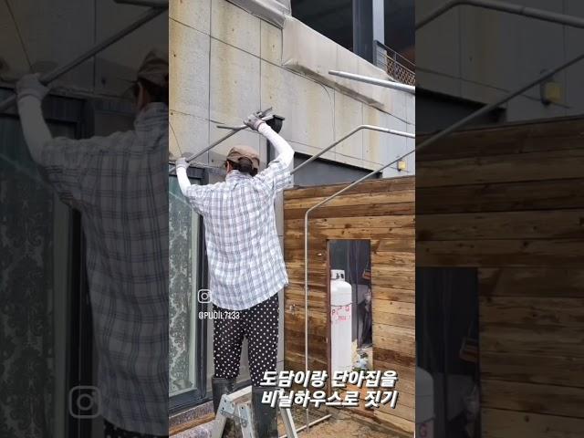 댕댕이 셀프 비닐하우스 집짓기 #셀프인테리어 #비닐하우스 #비닐하우스짓기 #강원도 #오브리네이처